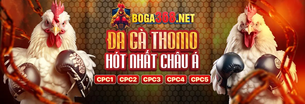 Các tính năng ưu việt của nohu 88
