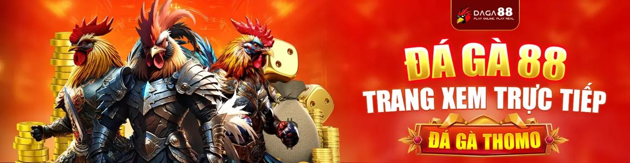 Sàn đấu đá gà trực tuyến nohu 88 trang chủ